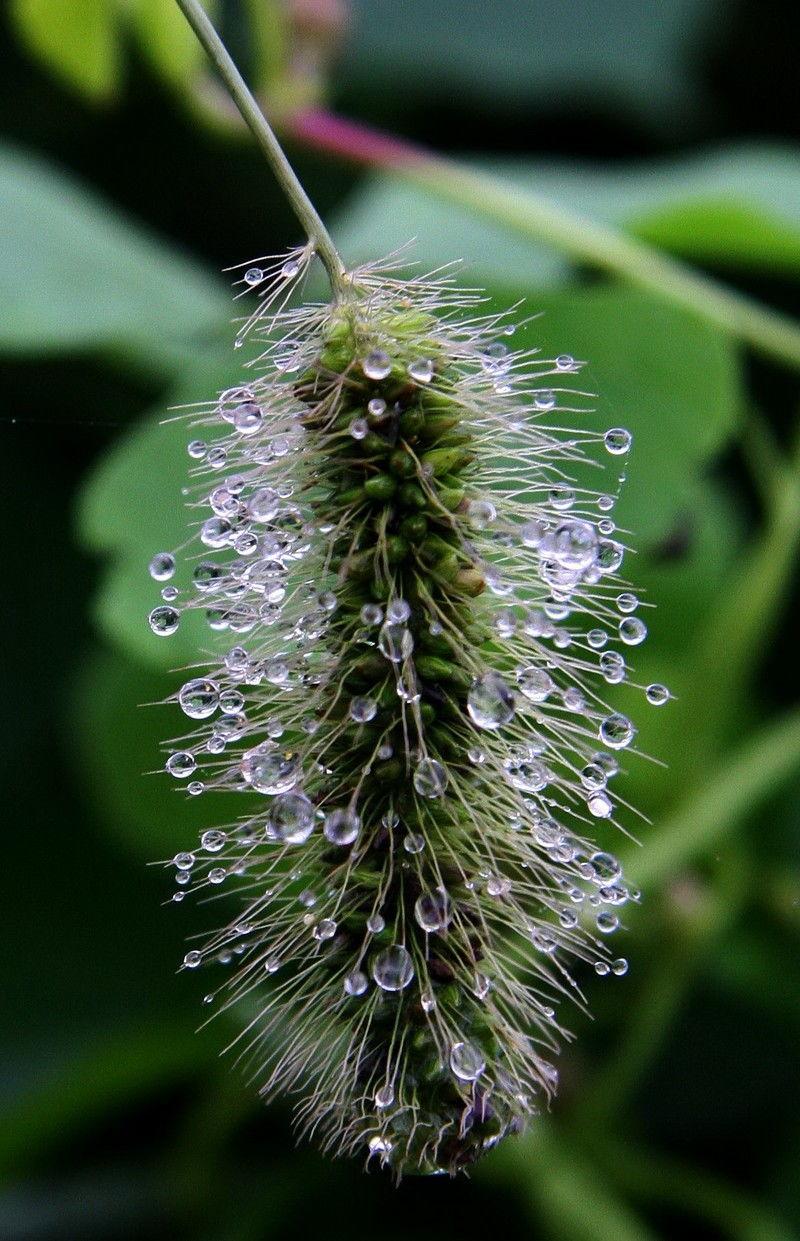 51草视频,揭秘短视频平台的魅力与挑战