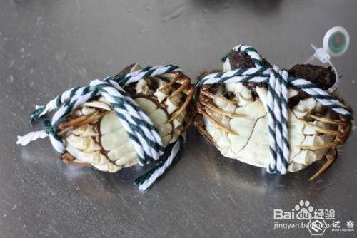 如何绑螃蟹视频,螃蟹绑扎技巧,跟随视频教程,告别手忙脚乱