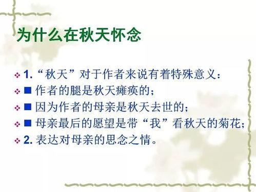 秋天的怀念朗读视频,深情回忆与无尽思念