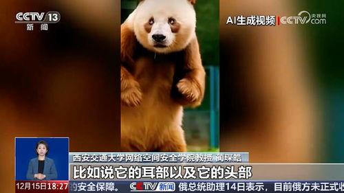 转眼球视频,揭秘眼球运动背后的奥秘