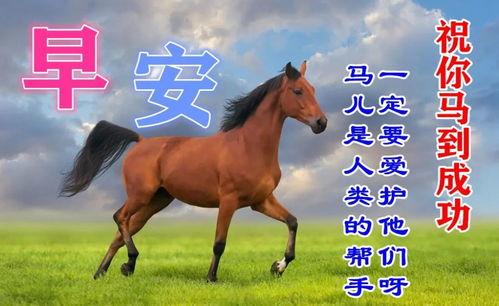 早上好的小视频图片,探寻“早上好”视频中的温馨时光